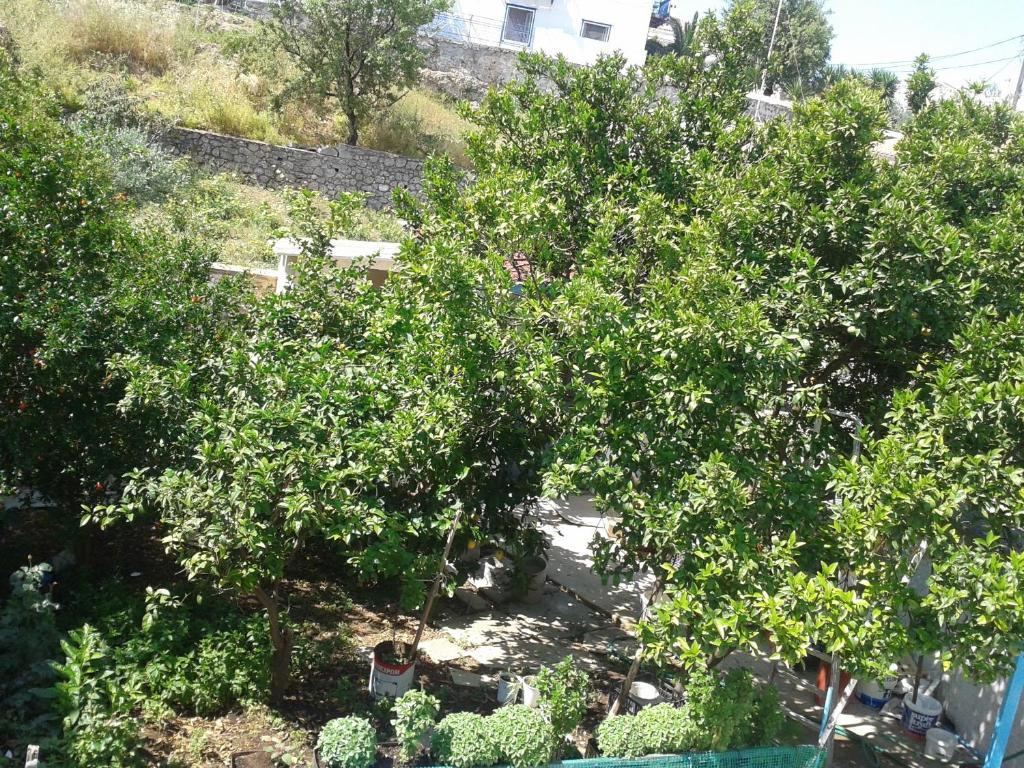 Panagiota Apartment Spetses Town